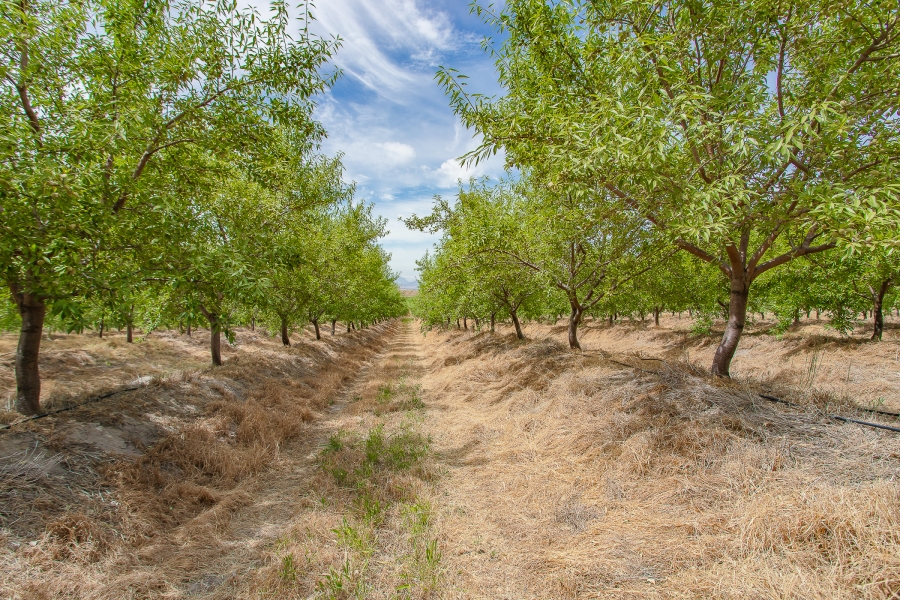 4 Bedroom Property for Sale in Paarl Rural Western Cape